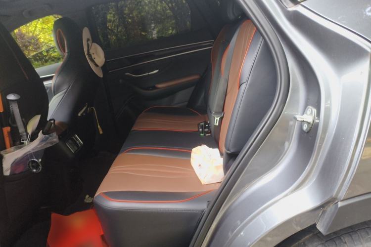 Used BYD Song PLUS New Energy 2021 DM-i 100KM Four-Wheel Drive Flagship PLUS Left Rear Seat