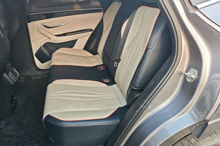 Used BYD Song PLUS New Energy 2021 DM-i 110KM Flagship PLUS Left Rear Seat