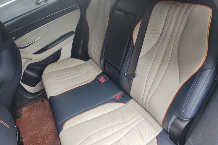 Used BYD Song PLUS New Energy 2021 EV Flagship Model Left Rear Seat