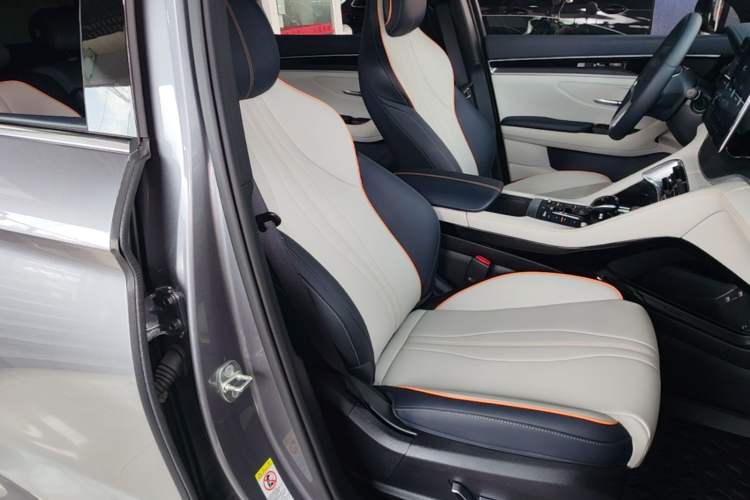 Used BYD Song PLUS New Energy 2021 EV Deluxe Model Right Front Seat