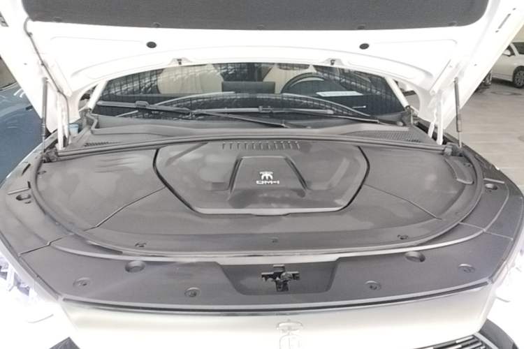 Used BYD Song PLUS New Energy 2021 DM-i 110KM Flagship PLUS Engine Bay