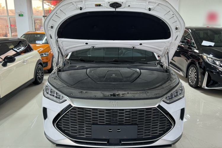 Used BYD Song PLUS New Energy 2021 DM-i 51KM Prestige Model Exterior 9