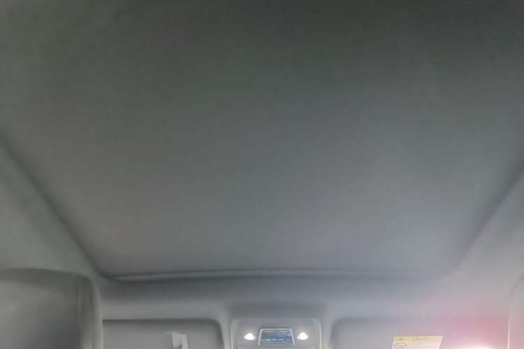 Used BYD Song PLUS New Energy 2021 EV Deluxe Model Headliner