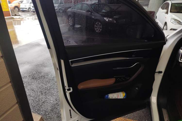 Used BYD Song PLUS New Energy 2021 DM-i 100KM Four-Wheel Drive Flagship PLUS Left Front Door Interior