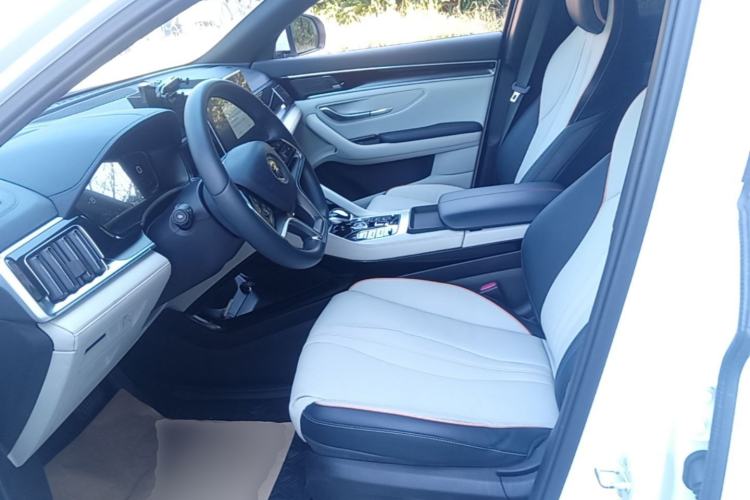 Used BYD Song PLUS New Energy 2021 DM-i 110KM Flagship PLUS Left Front Seat