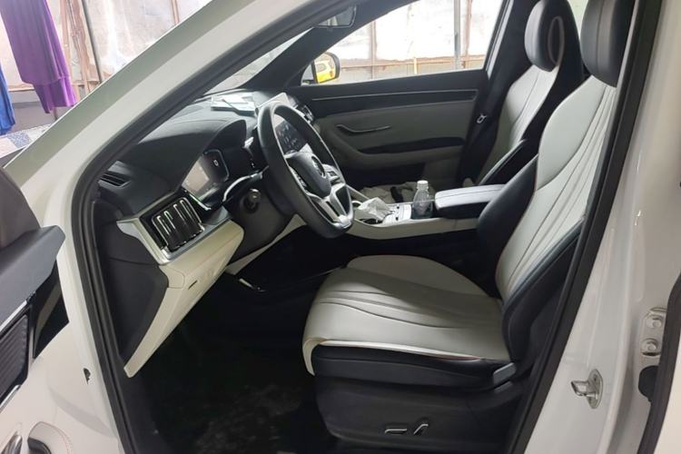 Used BYD Song PLUS New Energy 2021 EV Deluxe Model Left Front Seat