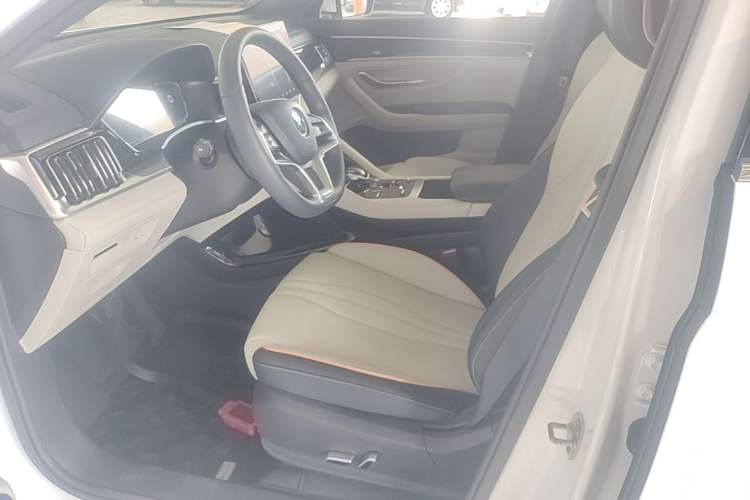 Used BYD Song PLUS New Energy 2021 DM-i 51KM Prestige Model Left Front Seat