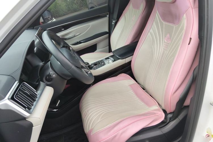 Used BYD Song PLUS New Energy 2021 DM-i 51KM Prestige Model Left Front Seat