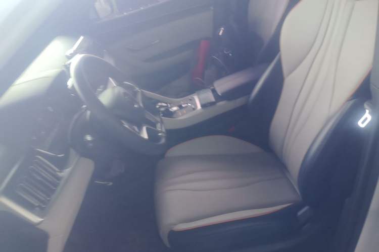 Used BYD Song PLUS New Energy 2021 DM-i 51KM Prestige Model Left Front Seat