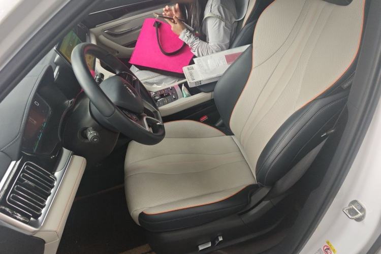 Used BYD Song PLUS New Energy 2021 DM-i 51KM Prestige Model Left Front Seat