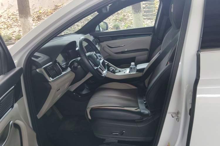 Used BYD Song PLUS New Energy 2021 EV Deluxe Model Left Front Seat