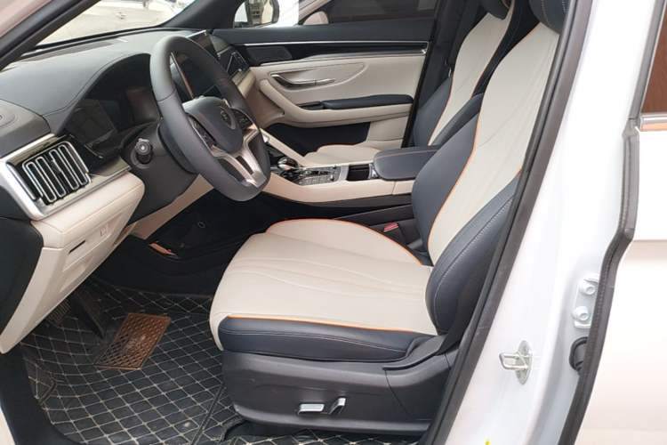 Used BYD Song PLUS New Energy 2021 EV Deluxe Model Left Front Seat