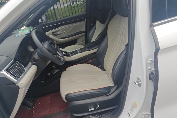 Used BYD Song PLUS New Energy 2021 DM-i 51KM Prestige Model Left Front Seat
