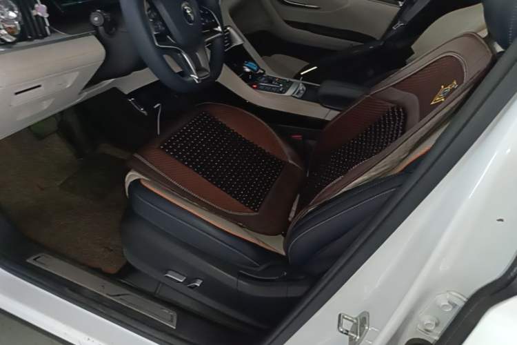 Used BYD Song PLUS New Energy 2021 DM-i 110KM Flagship PLUS Left Front Seat