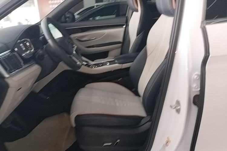 Used BYD Song PLUS New Energy 2021 DM-i 110KM Flagship PLUS Left Front Seat