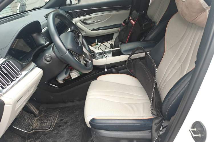 Used BYD Song PLUS New Energy 2021 DM-i 110KM Flagship PLUS 5G Edition Left Front Seat