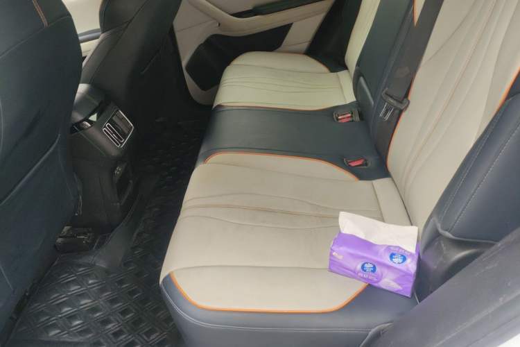 Used BYD Song PLUS New Energy 2021 EV Deluxe Model Left Rear Seat