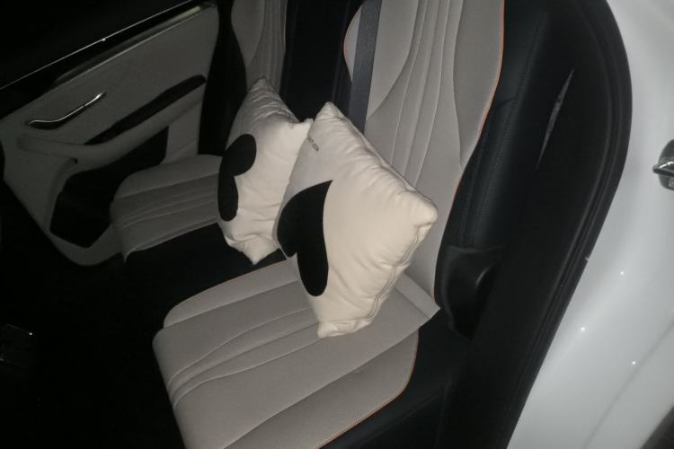 Used BYD Song PLUS New Energy 2021 DM-i 110KM Flagship PLUS Left Rear Seat