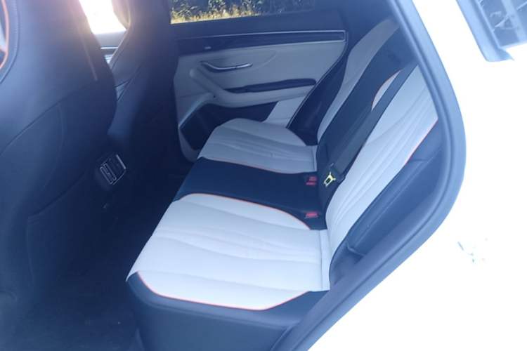 Used BYD Song PLUS New Energy 2021 DM-i 110KM Flagship PLUS Left Rear Seat