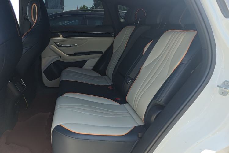 Used BYD Song PLUS New Energy 2021 EV Deluxe Model Left Rear Seat