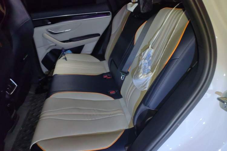 Used BYD Song PLUS New Energy 2021 DM-i 110KM Flagship PLUS Left Rear Seat