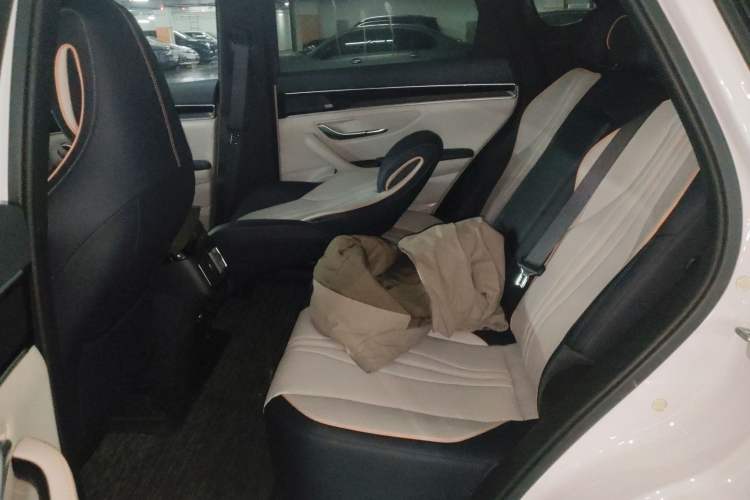 Used BYD Song PLUS New Energy 2021 DM-i 51KM Prestige Model Left Rear Seat
