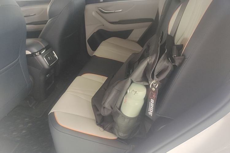 Used BYD Song PLUS New Energy 2021 DM-i 51KM Prestige Model Left Rear Seat