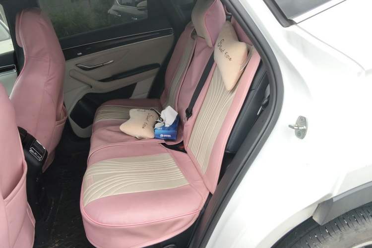 Used BYD Song PLUS New Energy 2021 DM-i 51KM Prestige Model Left Rear Seat