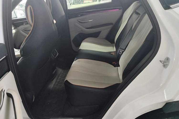 Used BYD Song PLUS New Energy 2021 EV Flagship Model Left Rear Seat