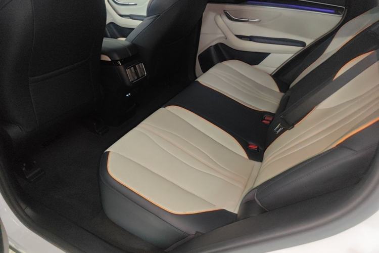 Used BYD Song PLUS New Energy 2021 DM-i 51KM Prestige Model Left Rear Seat