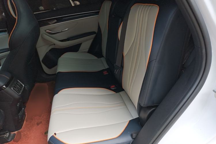 Used BYD Song PLUS New Energy 2021 EV Deluxe Model Left Rear Seat
