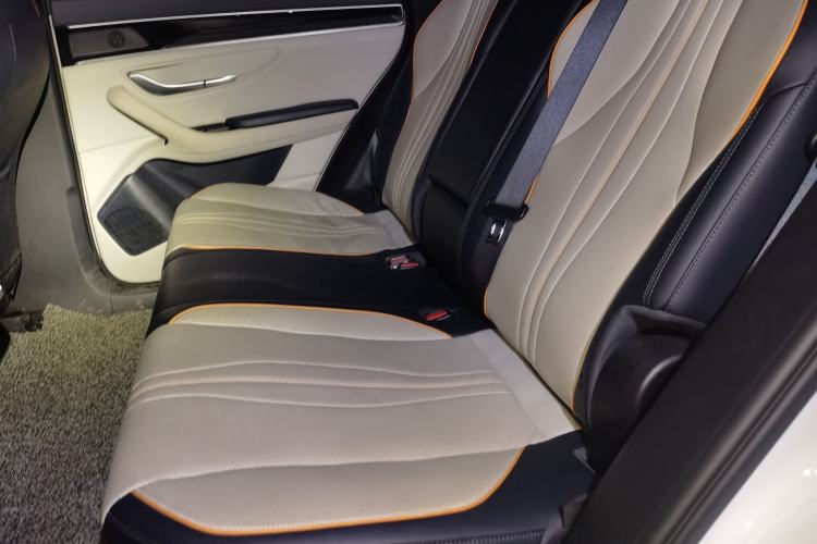 Used BYD Song PLUS New Energy 2021 DM-i 110KM Flagship PLUS Left Rear Seat