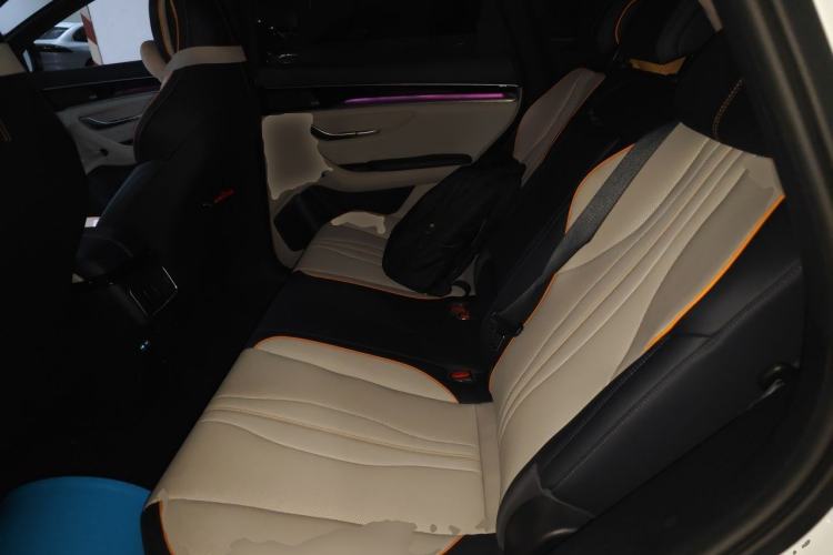 Used BYD Song PLUS New Energy 2021 DM-i 110KM Flagship PLUS Left Rear Seat