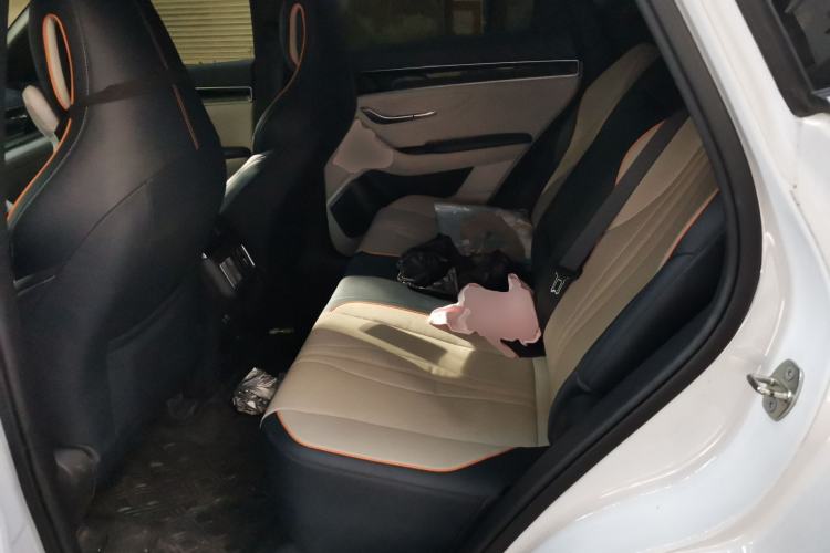 Used BYD Song PLUS New Energy 2021 DM-i 110KM Flagship PLUS Left Rear Seat