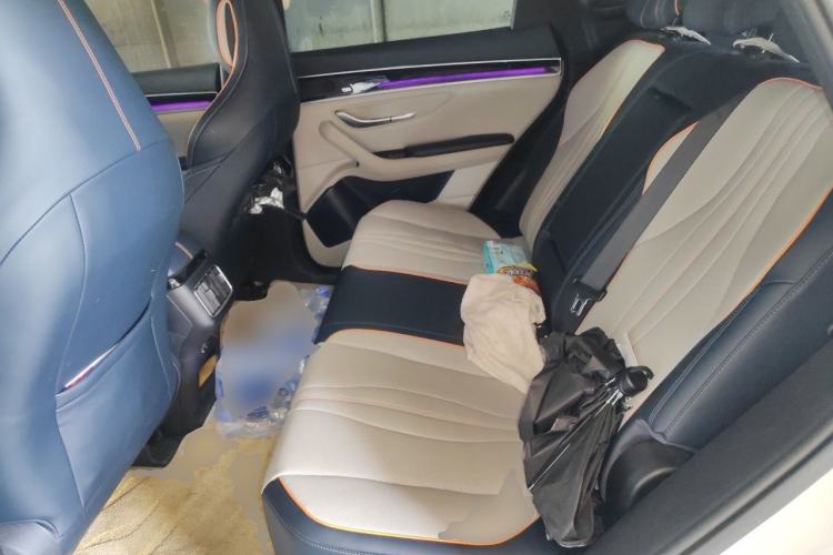 Used BYD Song PLUS New Energy 2021 DM-i 110KM Flagship PLUS Left Rear Seat