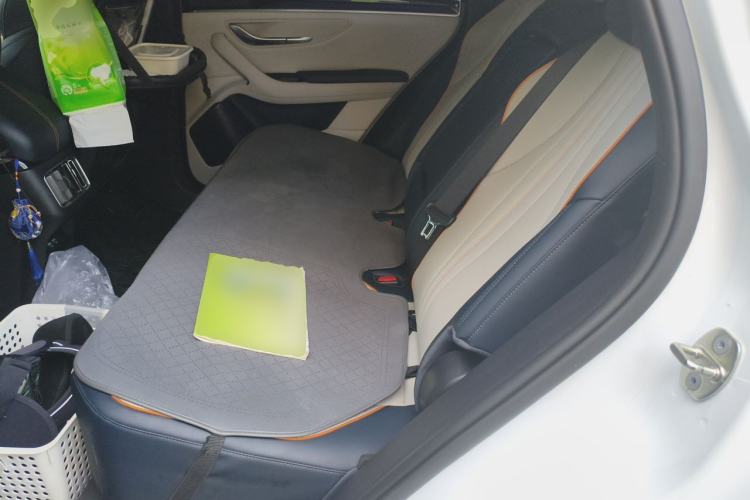 Used BYD Song PLUS New Energy 2021 DM-i 110KM Flagship PLUS Left Rear Seat