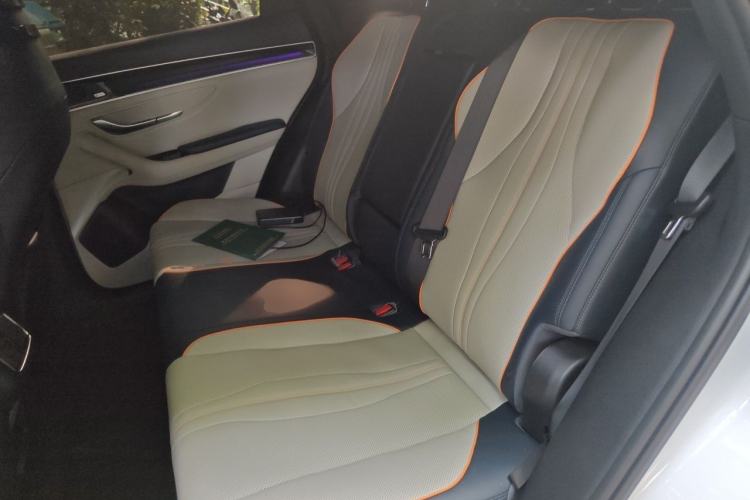 Used BYD Song PLUS New Energy 2021 DM-i 110KM Flagship PLUS Left Rear Seat