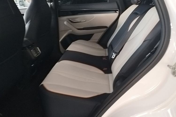 Used BYD Song PLUS New Energy 2021 DM-i 110KM Flagship PLUS Left Rear Seat