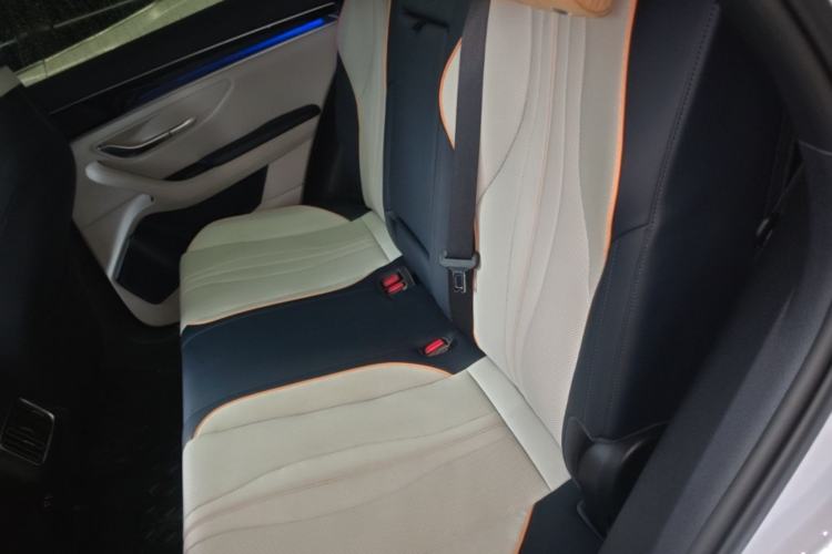 Used BYD Song PLUS New Energy 2021 DM-i 110KM Flagship PLUS Left Rear Seat