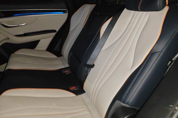 Used BYD Song PLUS New Energy 2021 DM-i 110KM Flagship PLUS Left Rear Seat