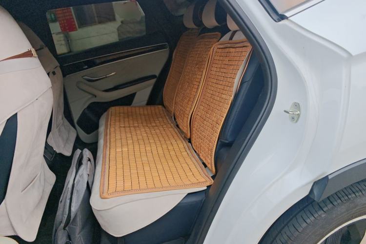 Used BYD Song PLUS New Energy 2021 DM-i 110KM Flagship Model Left Rear Seat
