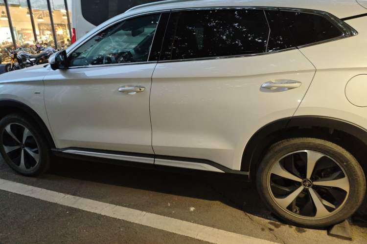 Used BYD Song PLUS New Energy 2021 DM-i 100KM Four-Wheel Drive Flagship PLUS Left Side