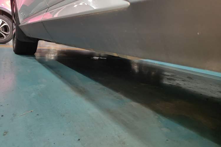 Used BYD Song PLUS New Energy 2021 DM-i 51KM Prestige Model Left Side Sill