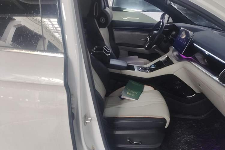 Used BYD Song PLUS New Energy 2021 DM-i 51KM Prestige Model Right Front Seat