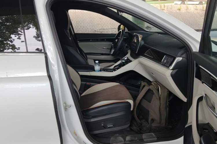 Used BYD Song PLUS New Energy 2021 EV Deluxe Model Right Front Seat