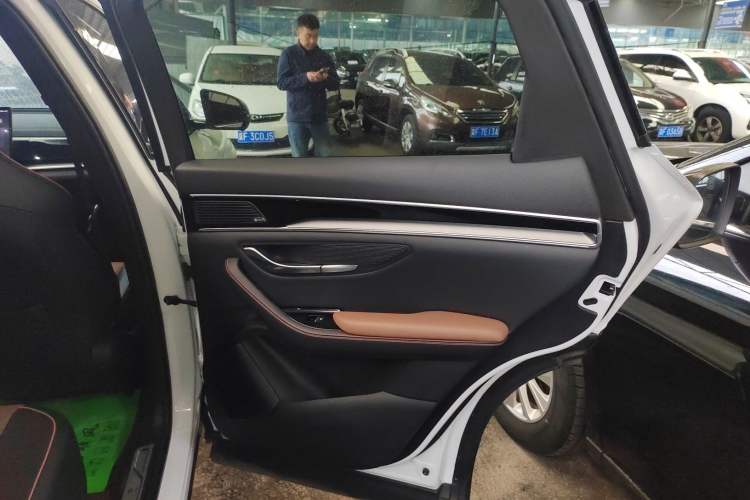 Used BYD Song PLUS New Energy 2021 DM-i 100KM Four-Wheel Drive Flagship PLUS Right Rear Door Interior