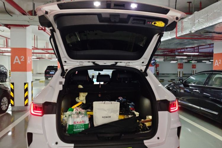 Used BYD Song PLUS New Energy 2021 DM-i 110KM Flagship PLUS Trunk