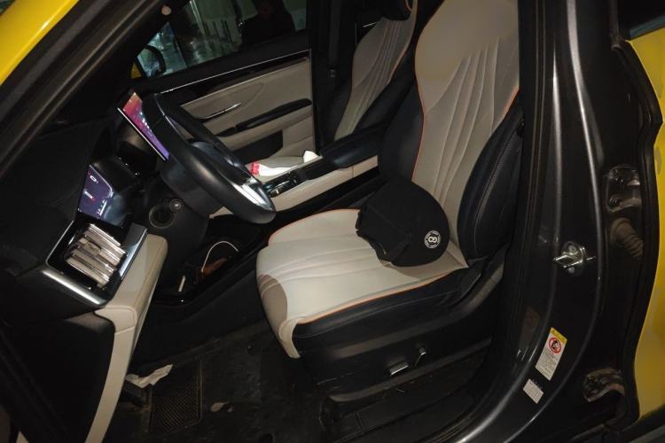 Used BYD Song PLUS New Energy 2021 EV Deluxe Model Left Front Seat