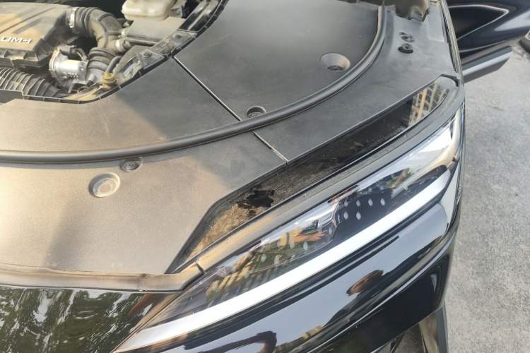 Used BYD Song PLUS New Energy 2023 Champion Edition DM-i 150KM Flagship PLUS 5G Engine Bay Left