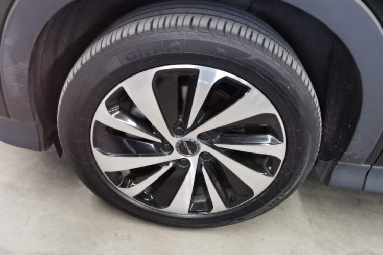 Used BYD Song PLUS New Energy 2023 Champion Edition DM-i 150KM Flagship PLUS Exterior 4